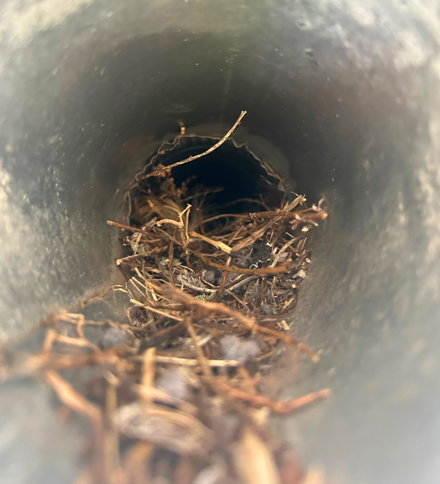 Clogged duct opening with heavy lint ring