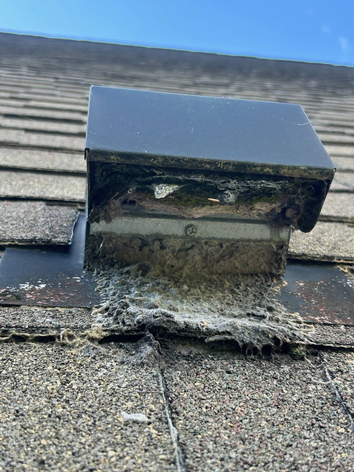 Heavy lint buildup at a roof-terminated dryer vent