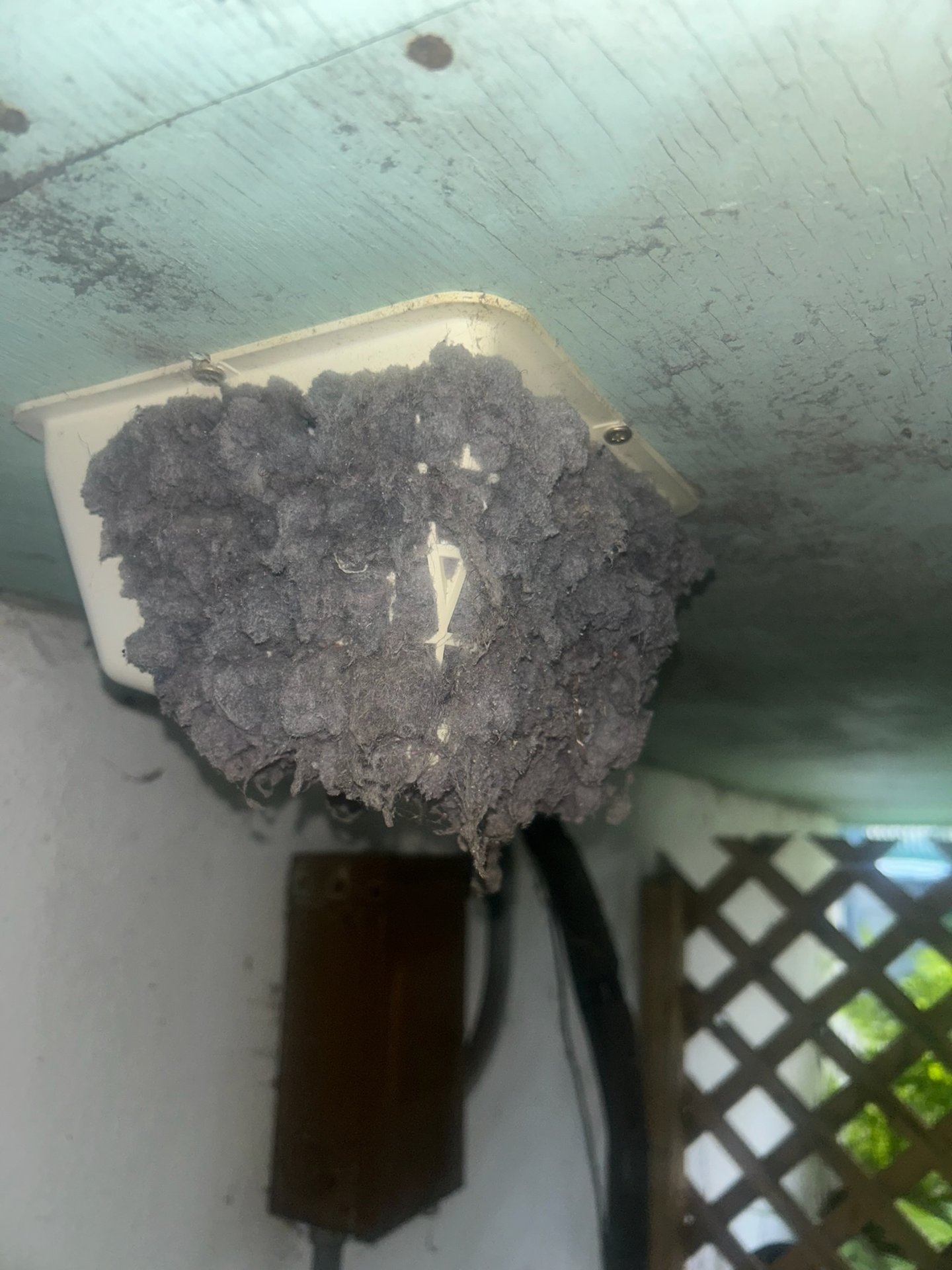 Lint pouring out of a clogged exterior dryer vent