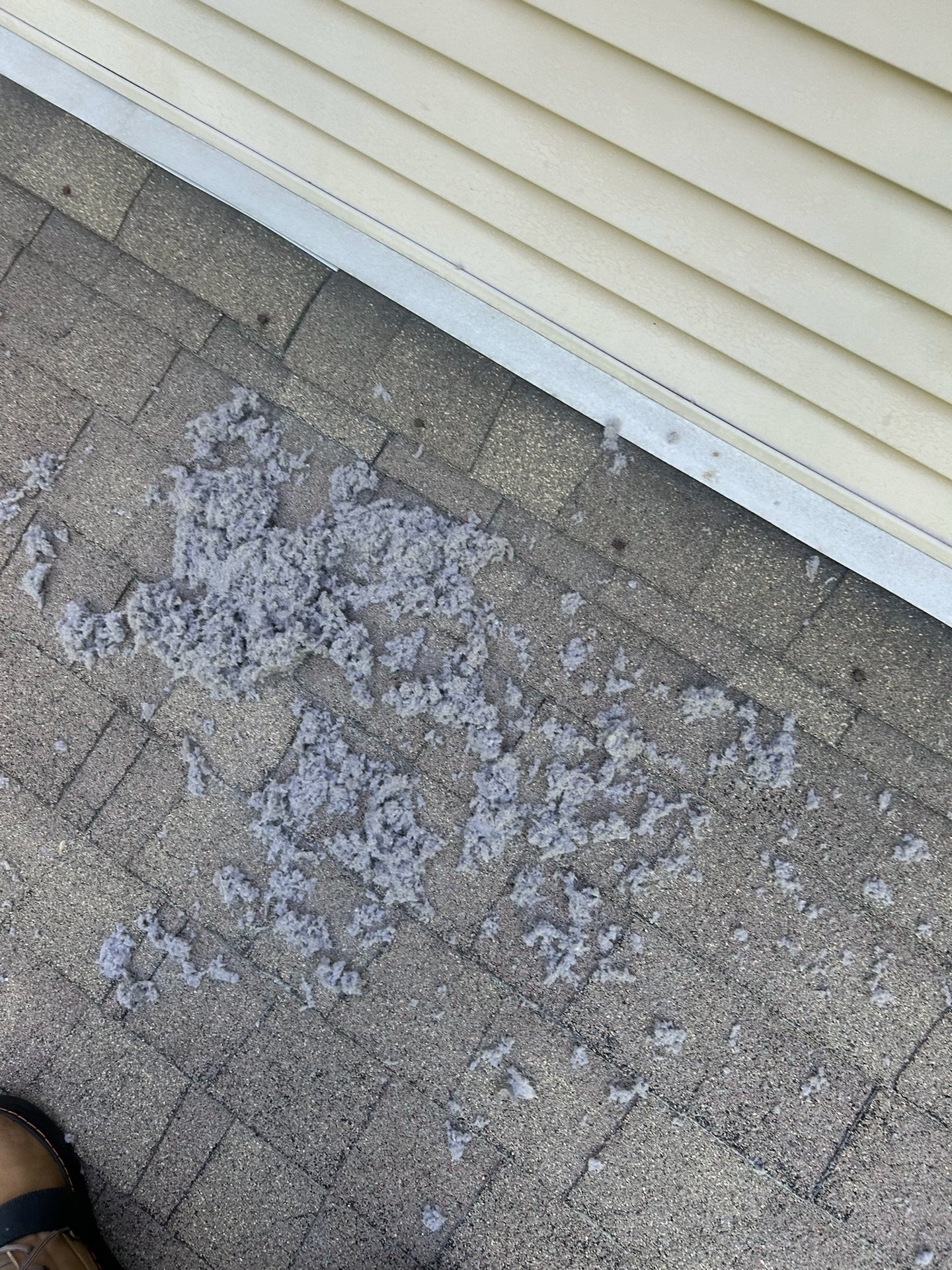 Lint accumulated on roof shingles around a vent