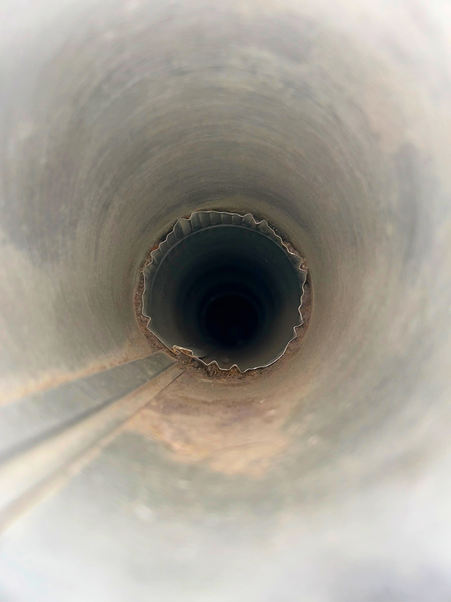 Bird nest discovered inside a dryer vent line